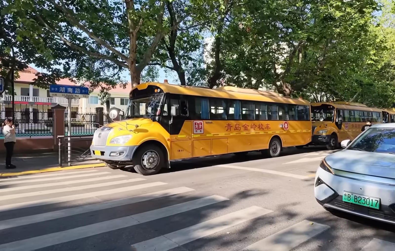 Bus sekolah berwarna kuning cerah khas Qingdao sedang melintasi area penyeberangan jalan.