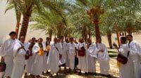 Rombongan jamaah umrah menikmati keteduhan di Kebun Kurma Madinah sebagai ruang sunyi dan refleksi di sela ibadah